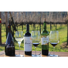 Tour Gran Reserva - Vale dos Vinhedos